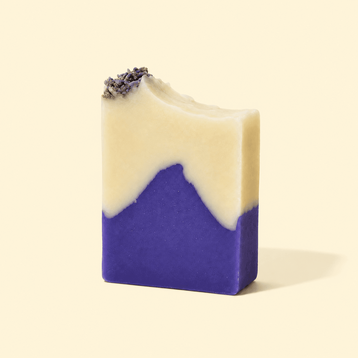 SCENT OF PROVENCE